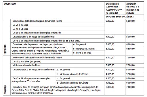 importe colectivo subvencion emprededor MURCIA