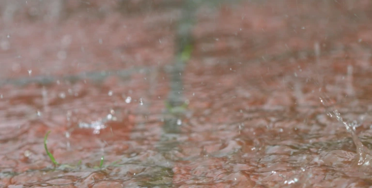 ayudas-dana-valencia